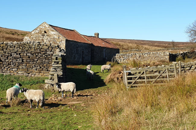 Stories in Stone Landscape Partnership Scheme
