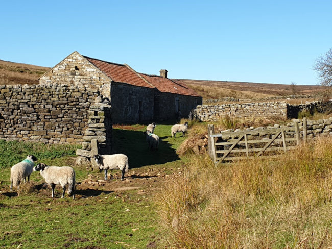 Stories in Stone Landscape Partnership Scheme